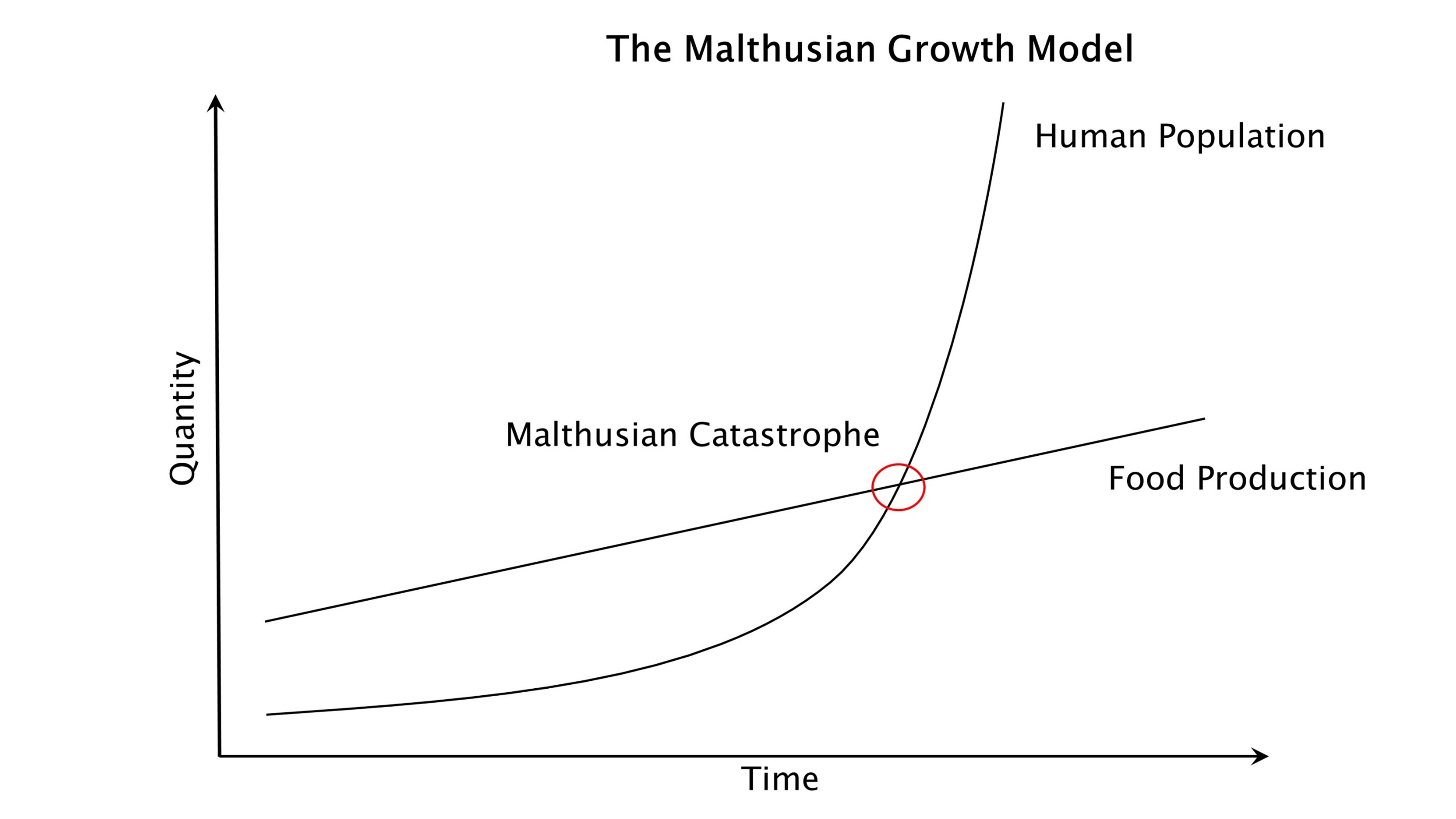 Malthusian Theory in relation to the Caribbean